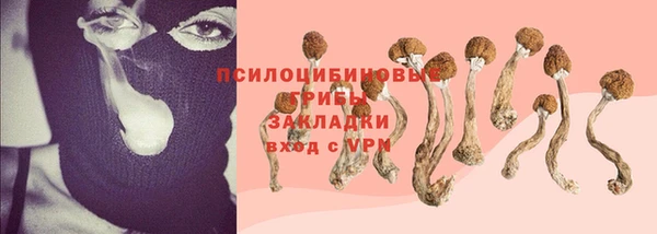 твердый Алексин