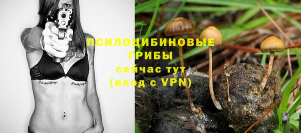 твердый Алексин