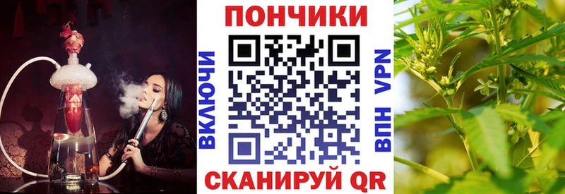 где найти   Алупка  МАРИХУАНА SATIVA & INDICA 